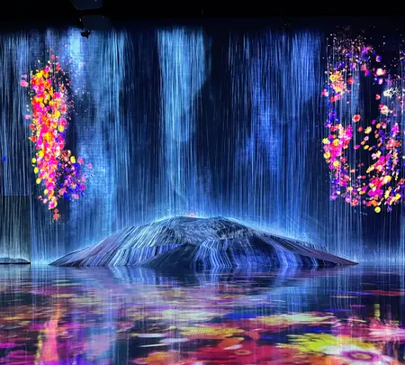 【閉業】森ビルデジタルアートミュージアム：エプソン チームラボボーダレス（MORI Building Digital Art Museum: EPSON teamLab Borderless）の写真・動画_image_448742