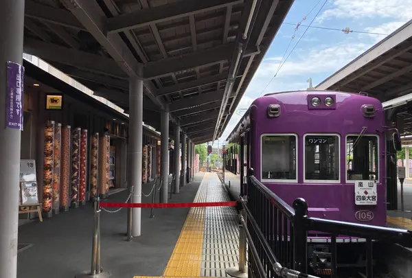 かき氷専門店 線香花火 Arashiyamaの写真・動画_image_448849