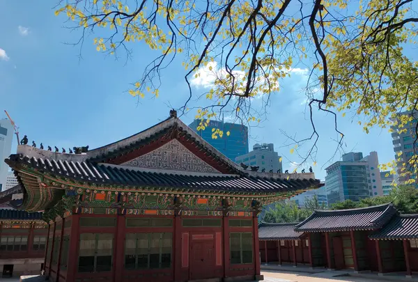 徳寿宮/トクスグン/덕수궁の写真・動画_image_448893