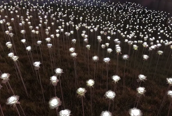 LEDバラ庭園の写真・動画_image_448906