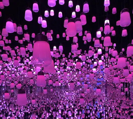 【閉業】森ビルデジタルアートミュージアム：エプソン チームラボボーダレス（MORI Building Digital Art Museum: EPSON teamLab Borderless）の写真・動画_image_448910