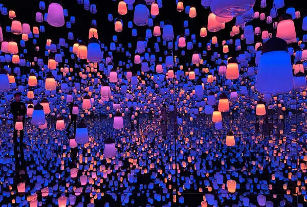 【閉業】森ビルデジタルアートミュージアム：エプソン チームラボボーダレス（MORI Building Digital Art Museum: EPSON teamLab Borderless）の写真・動画_image_448911