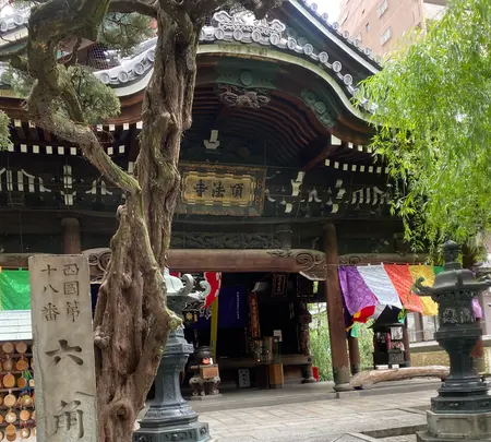 紫雲山頂法寺（六角堂）の写真・動画_image_449012