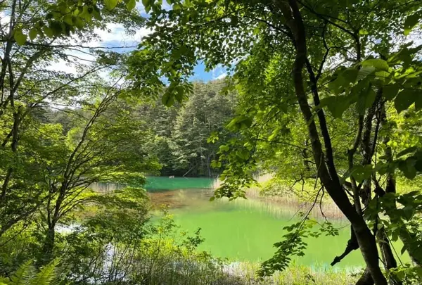 五色沼の写真・動画_image_449066