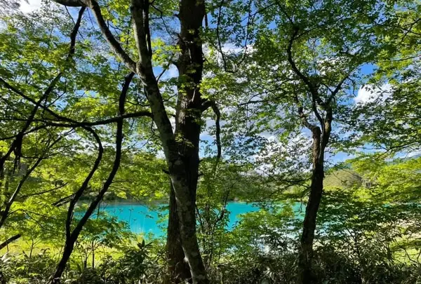 五色沼の写真・動画_image_449067