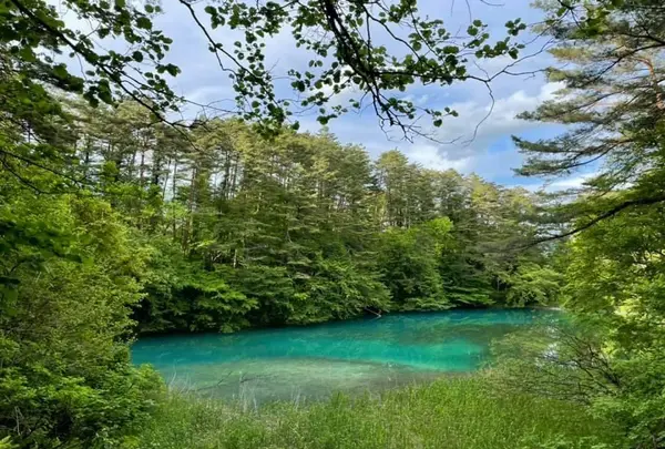 五色沼の写真・動画_image_449068