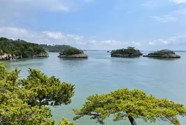 松島 馬の背の写真・動画_image_449137