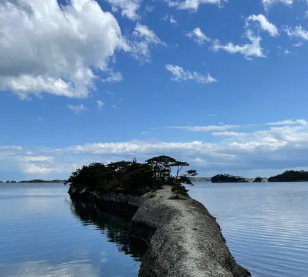 松島 馬の背の写真・動画_image_449139