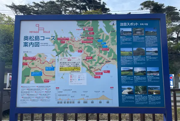 あおみなの写真・動画_image_449140