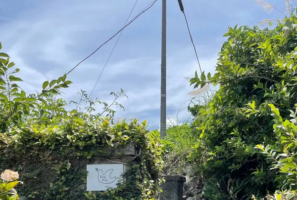 海のそばのカフェ bliss pointの写真・動画_image_449192