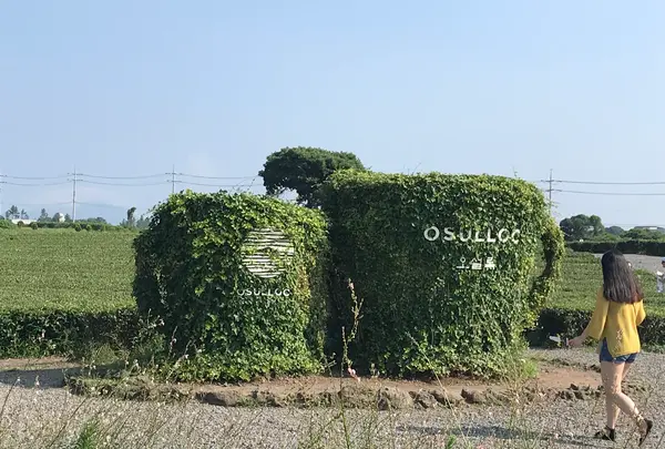 innisfree JEJU HOUSE/イニスプリー チェジュハウス/이니스프리 제주하우스の写真・動画_image_449292