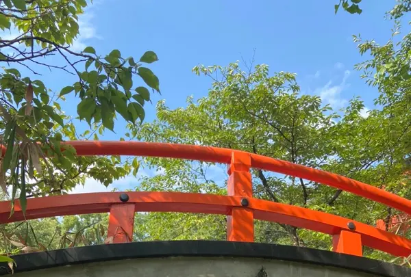 下鴨神社（賀茂御祖神社）の写真・動画_image_449347