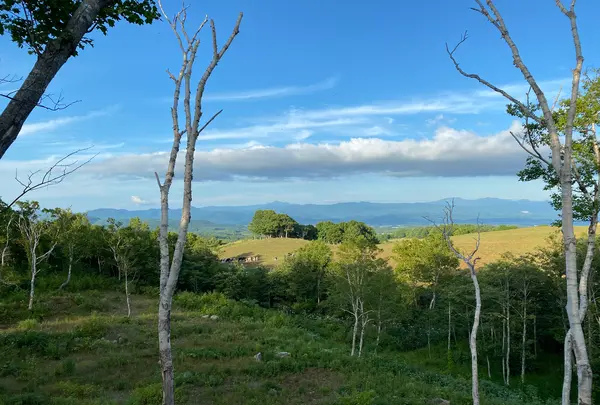坐忘林の写真・動画_image_449552