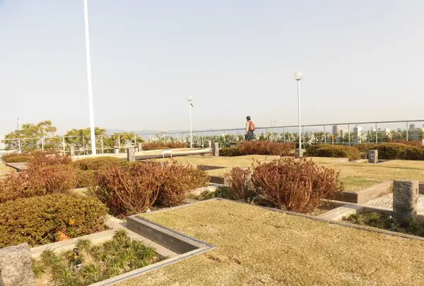 OMMビル スカイガーデンの写真・動画_image_449584