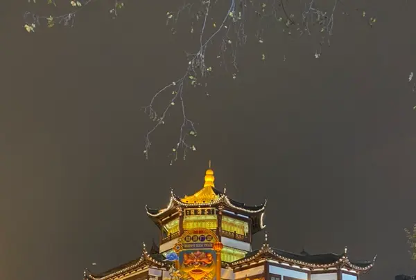 豫園（Yuyuan）の写真・動画_image_449650