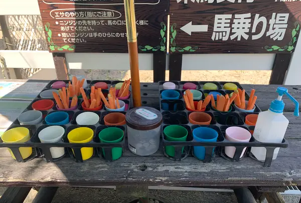 蒜山ホースパークの写真・動画_image_449772