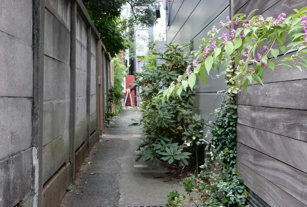 路地に彩り