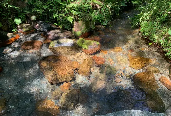 塩釜の冷泉の写真・動画_image_449894
