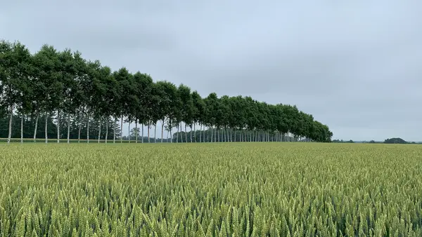 いただきますカンパニーの写真・動画_image_449959