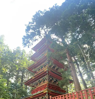 日光東照宮の写真・動画_image_450071