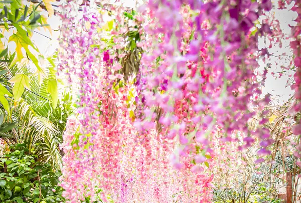 The Grounds of Alexandriaの写真・動画_image_450180