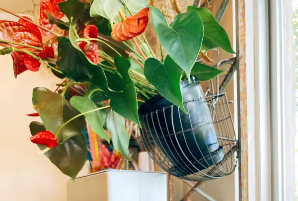 喫茶いのんの写真・動画_image_450210