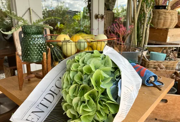 喫茶いのんの写真・動画_image_450212