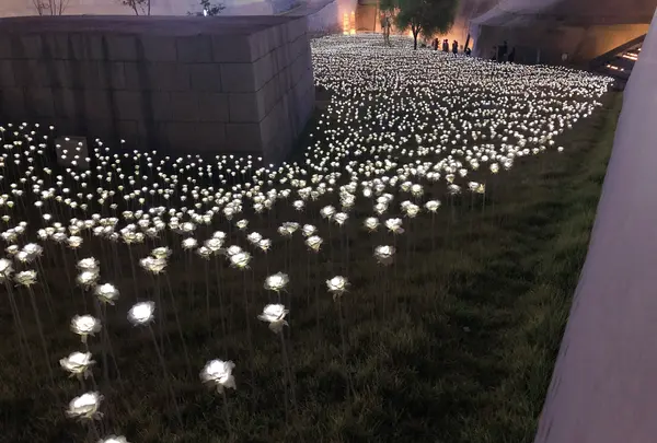 東大門デザインプラザ(DDP)/동대문디자인플라자の写真・動画_image_450369