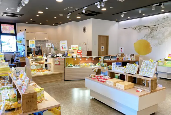 島ごころ SETODA本店の写真・動画_image_450702