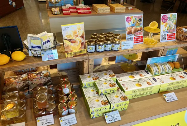 島ごころ SETODA本店の写真・動画_image_450705