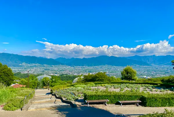 笛吹川フルーツ公園の写真・動画_image_451141