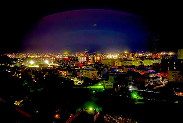 舞鶴城公園の写真・動画_image_451162