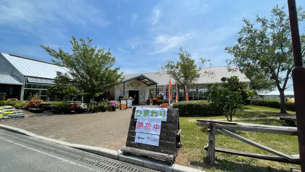 花の海の写真・動画_image_451941