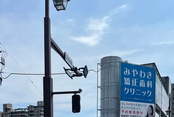 手作りジェラート専門店 ジェラテリアクラキチ ペリカンレーベルの写真・動画_image_451944