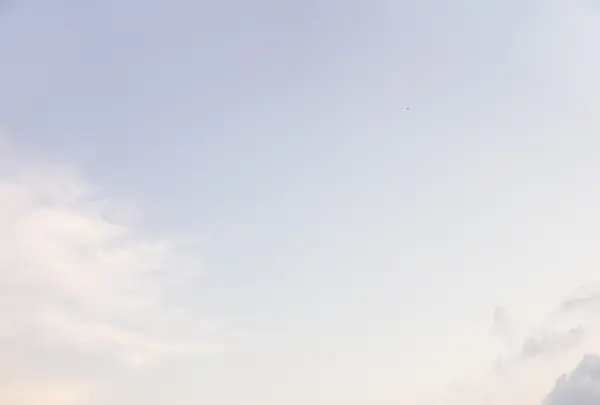 Paina Beachの写真・動画_image_452024