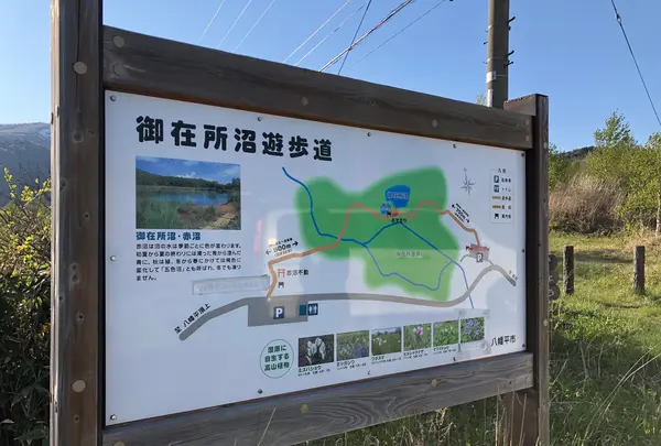 御在所園地・御在所湿原の写真・動画_image_452026