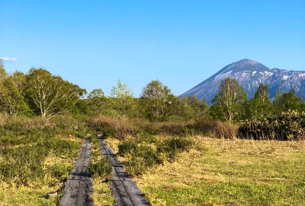 御在所園地・御在所湿原の写真・動画_image_452028