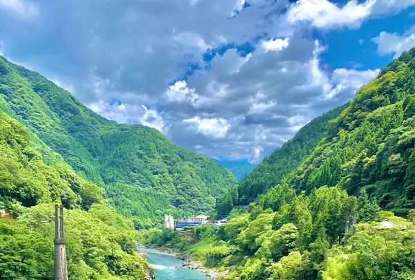 四国まんなか千年物語の写真・動画_image_452049
