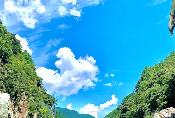 大歩危遊覧船の写真・動画_image_452059