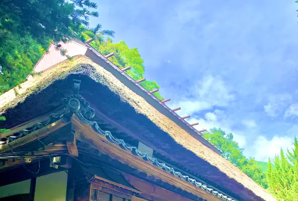 平家屋敷民俗資料館の写真・動画_image_452085