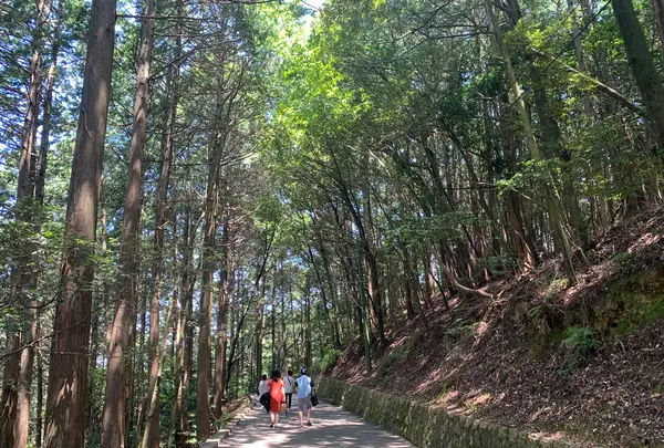 岩国城の写真・動画_image_452143