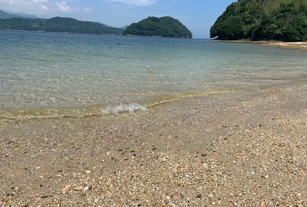 真宮島の写真・動画_image_452172