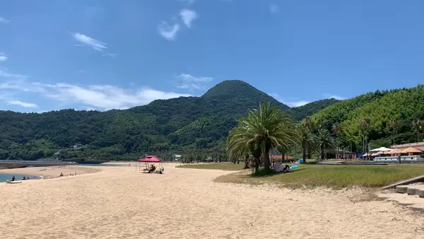 片添ヶ浜海浜公園の写真・動画_image_452177