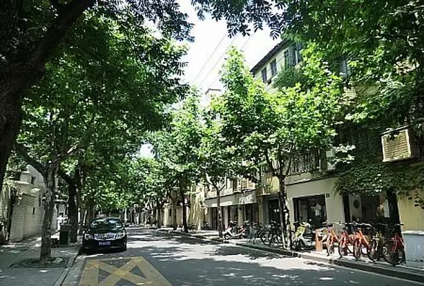 武康庭の写真・動画_image_452224