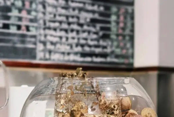 Pudao Winesの写真・動画_image_452287