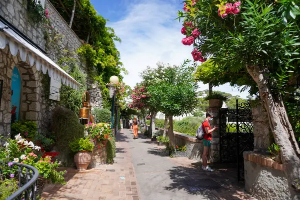 Giardini di Augustoの写真・動画_image_452331