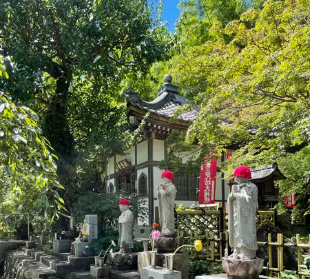 長泉院の写真・動画_image_452445