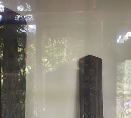 法雲寺の写真・動画_image_452470