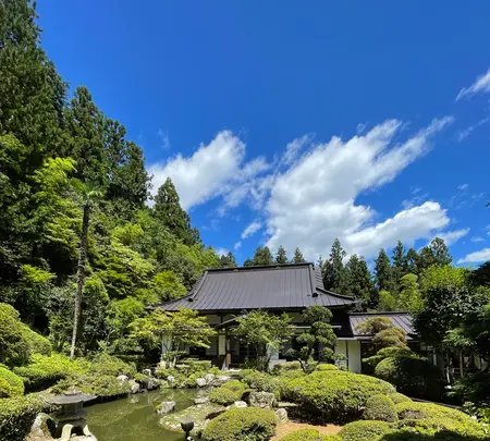 法雲寺の写真・動画_image_452476