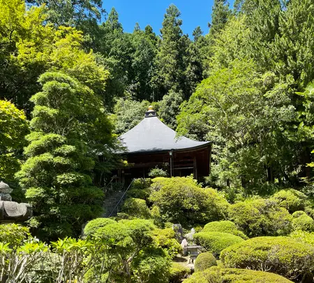 法雲寺の写真・動画_image_452480